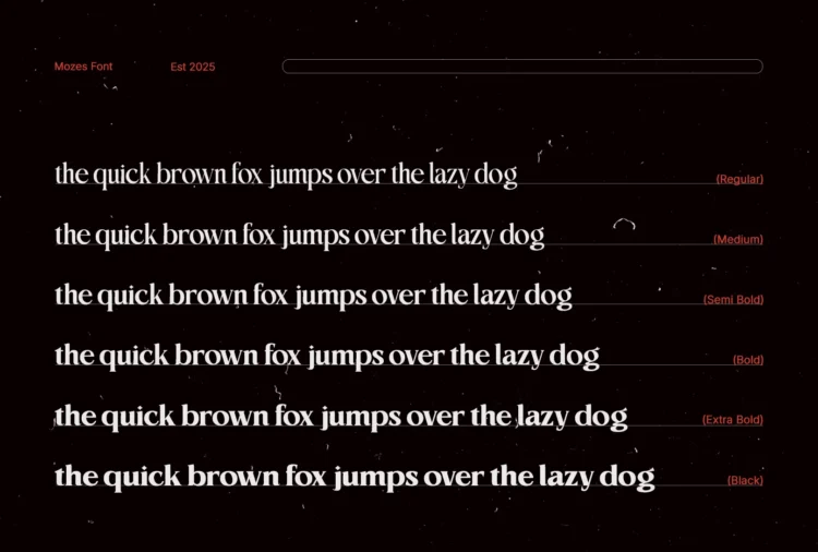 Mozes - Variable Serif Font - Image 4