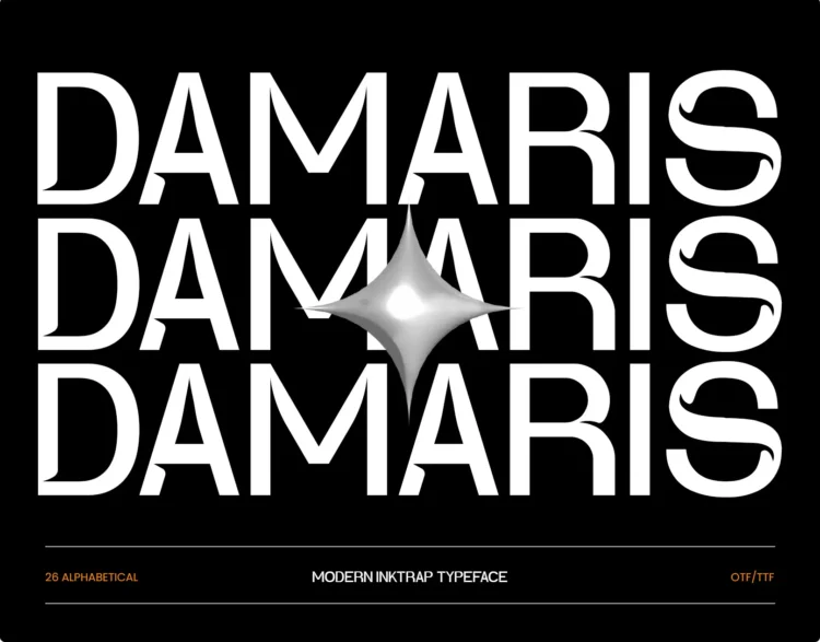Damaris - Ink Trap Font - Image 12