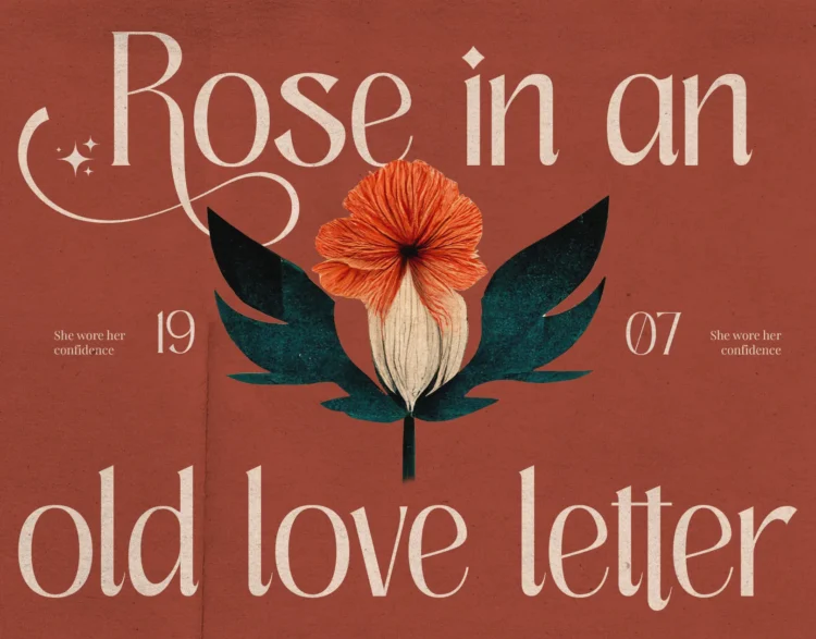 Hafinia - Elegant Serif Font - Image 11