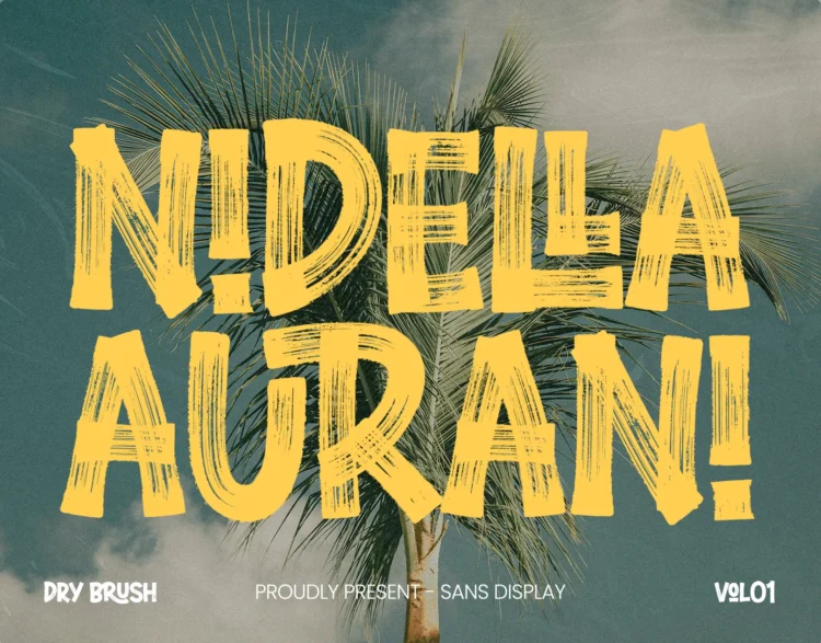 Nidella - Dry Brush Display Sans