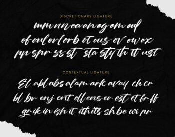 Brush Script Font