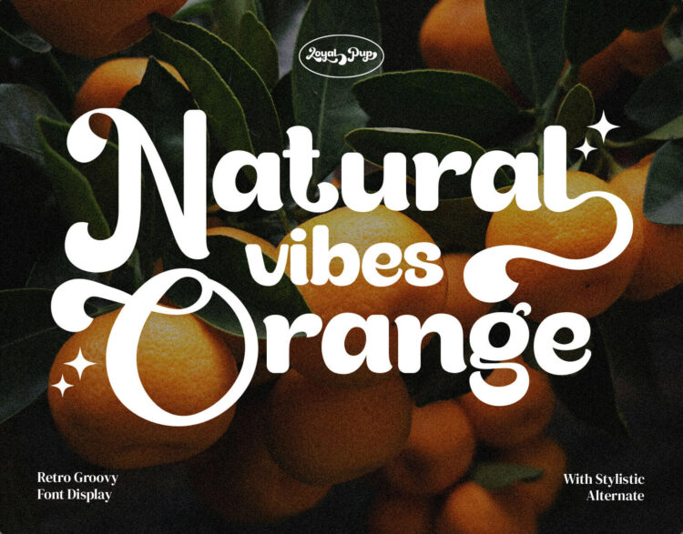 freebies free font