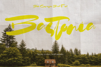 Bostania - Bold Brush Font