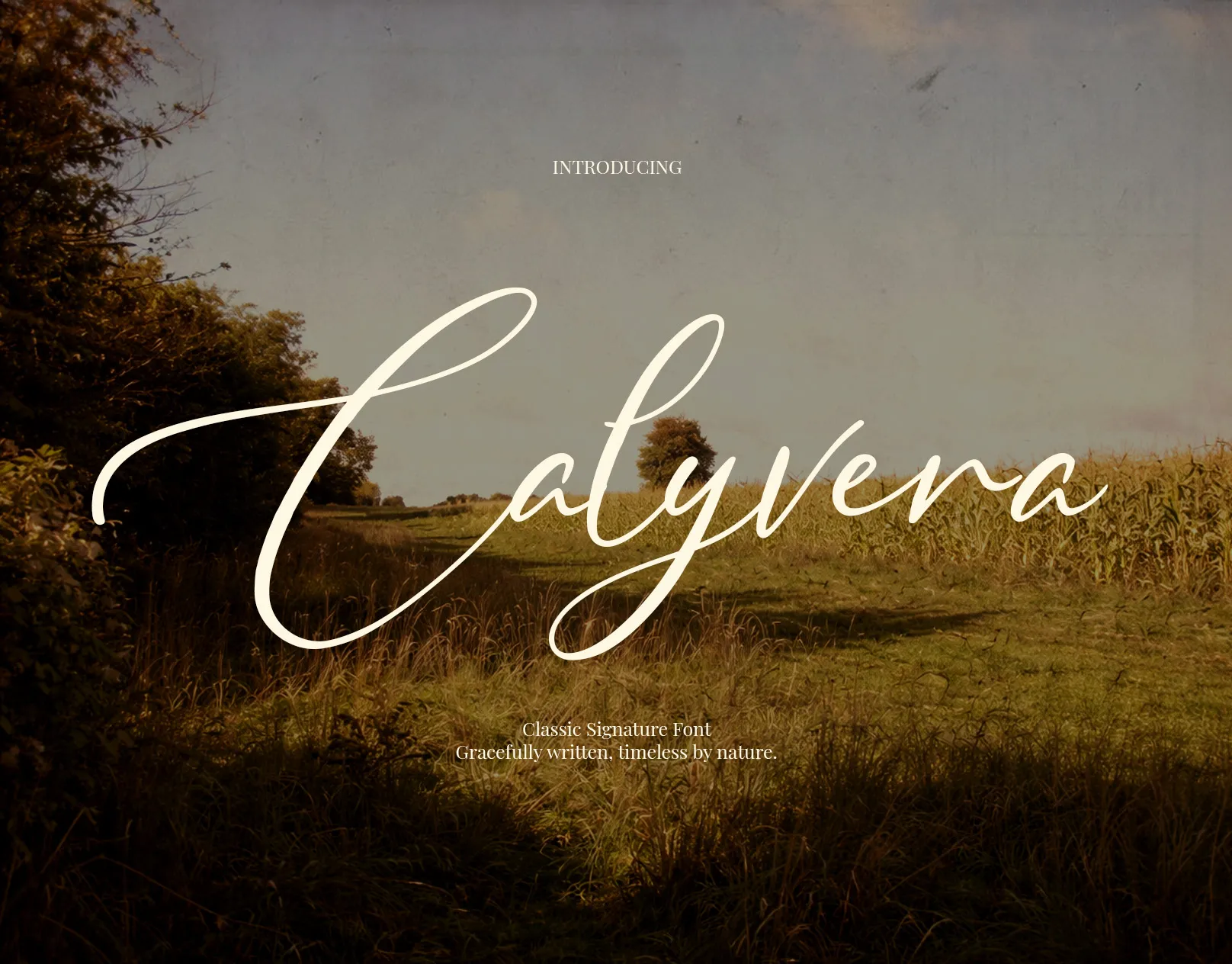 Calyvera – Quiet Signature Script